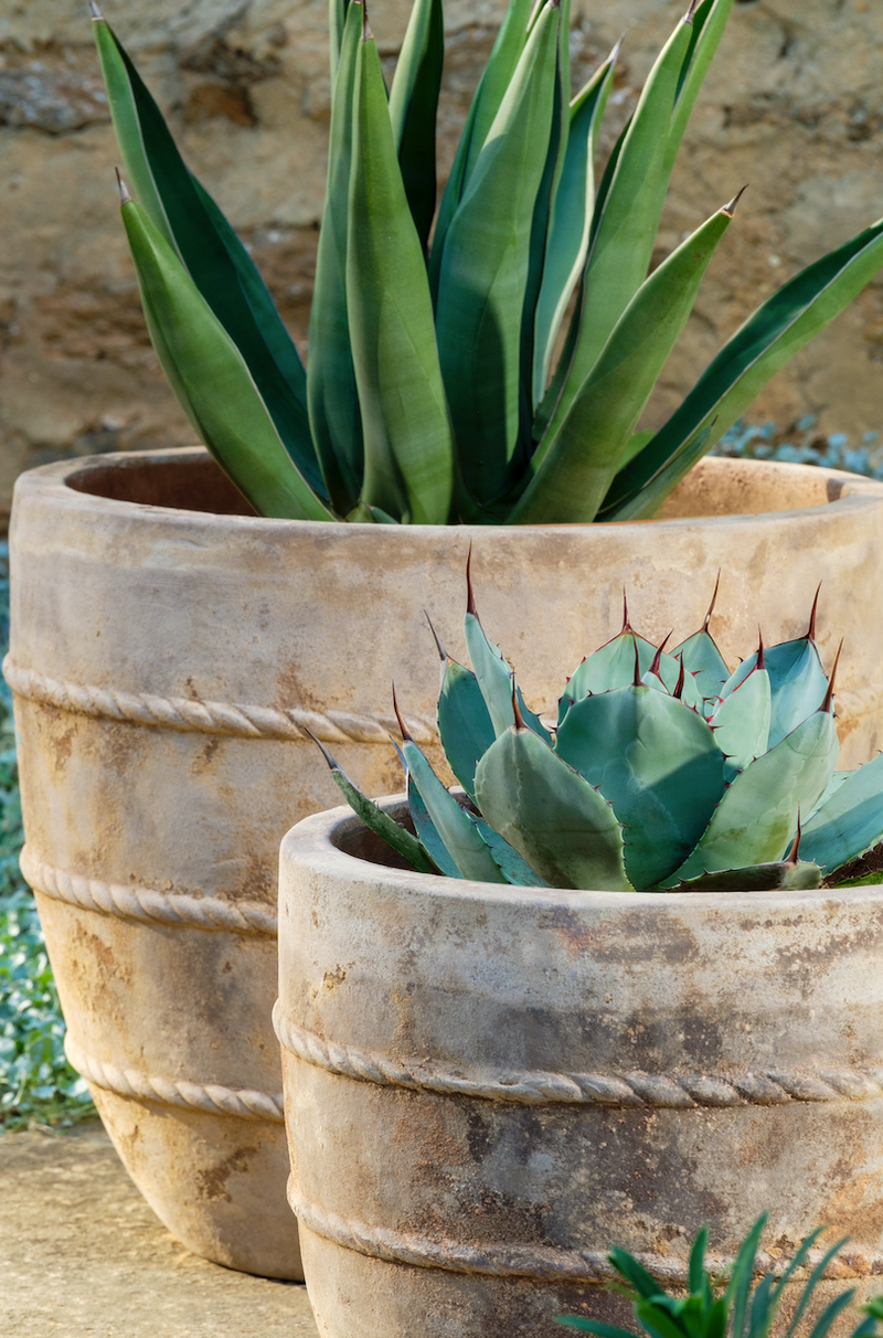 Santorini Planter - Set of 2 by Campania International
