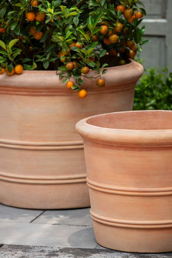 orange plant pots indoor Classic Orangerie Planter