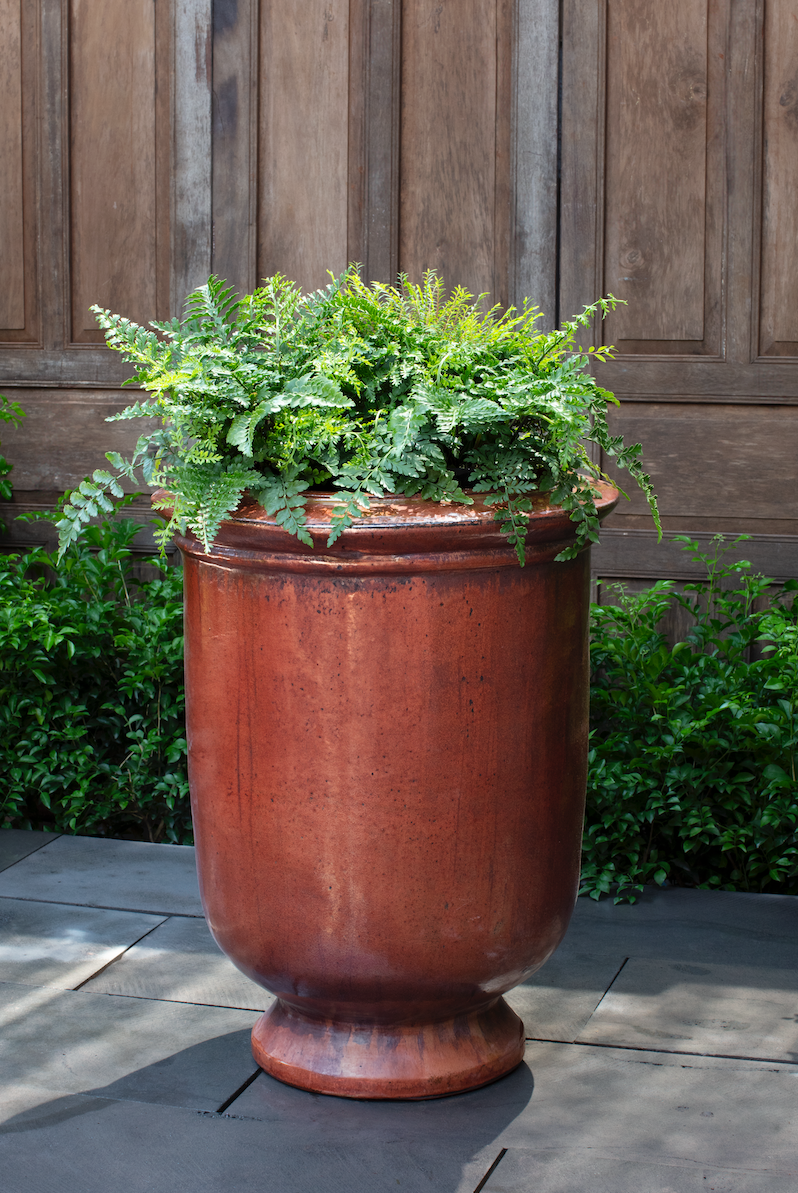 Vaucluse Jar by Campania International
