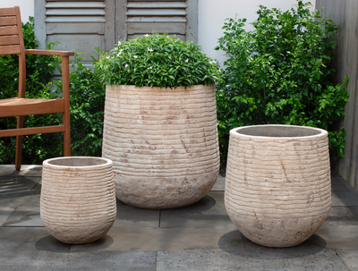 Lisi Planter - Set of 3 by Campania International