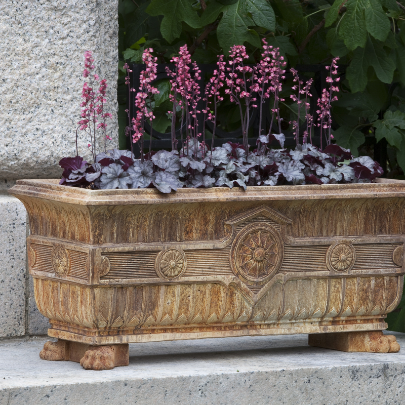 Smithsonian Eastlake Fern Box by Campania International