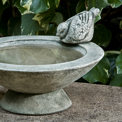 Songbird's Rest Birdbath by Campania International