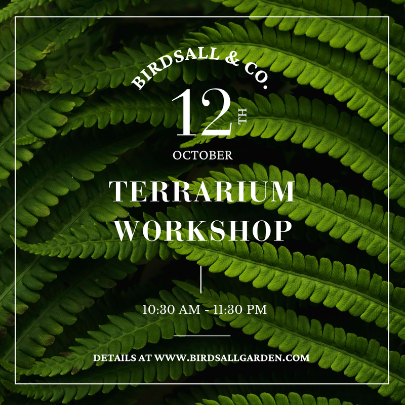 Terrarium Workshop