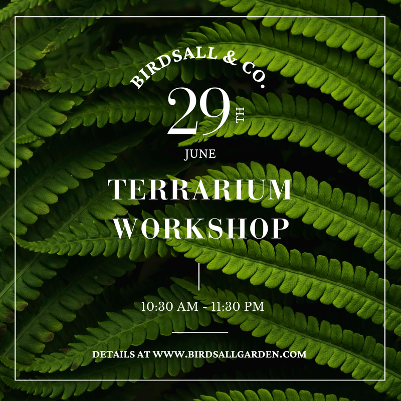 Terrarium Workshop