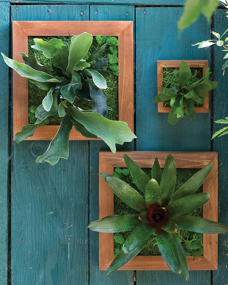 Living Frame Workshop