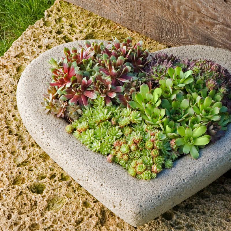 Heart Large Planter by Campania International