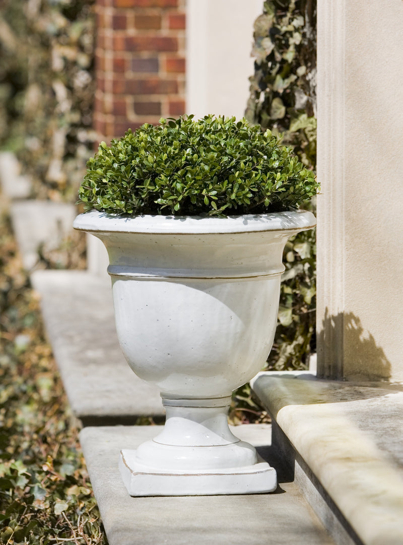 White urn planted with a boxwood on front steps