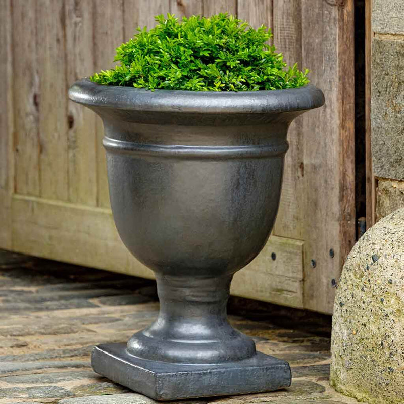 One urn shaped grey container planted with a shrub