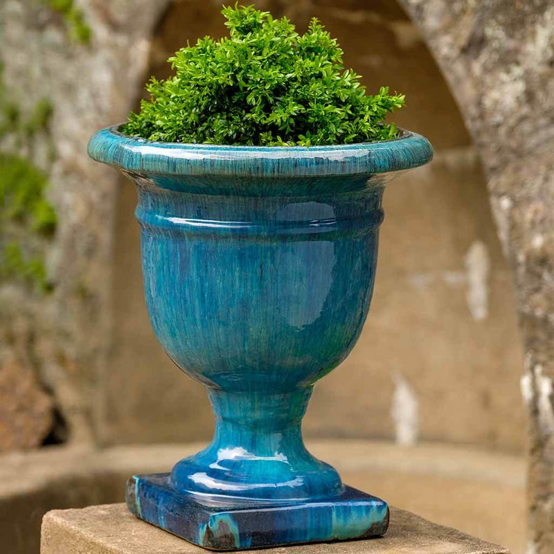 One blue urn shaped container planted with a shrub