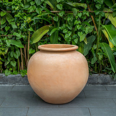 Terra cotta urn in front of greenery