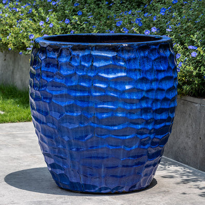 Blue container shown in front of blue flowers