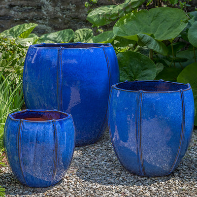 Grouping of 3 blue containers