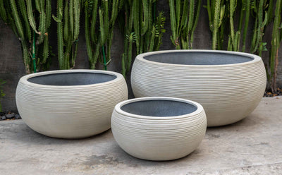 Grouping of 3 white bowls in front of succulents