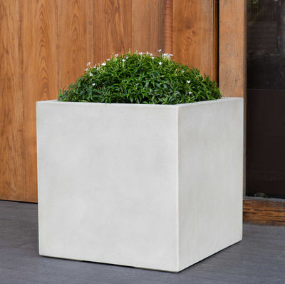 White square container planted with a shrub