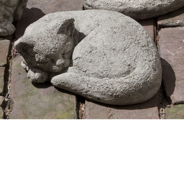 Small cat curled up on pavers