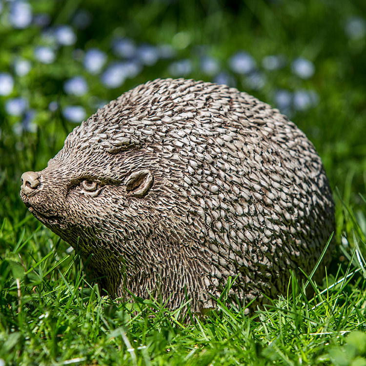 Cute light brown hedgehog sitting in grass