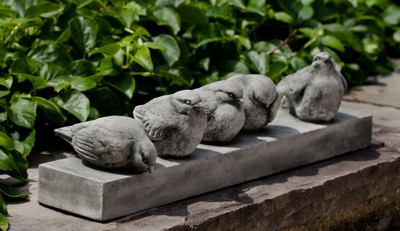 Five birds sitting on a plinth