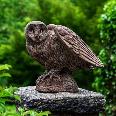 Brown owl standing on a rock 