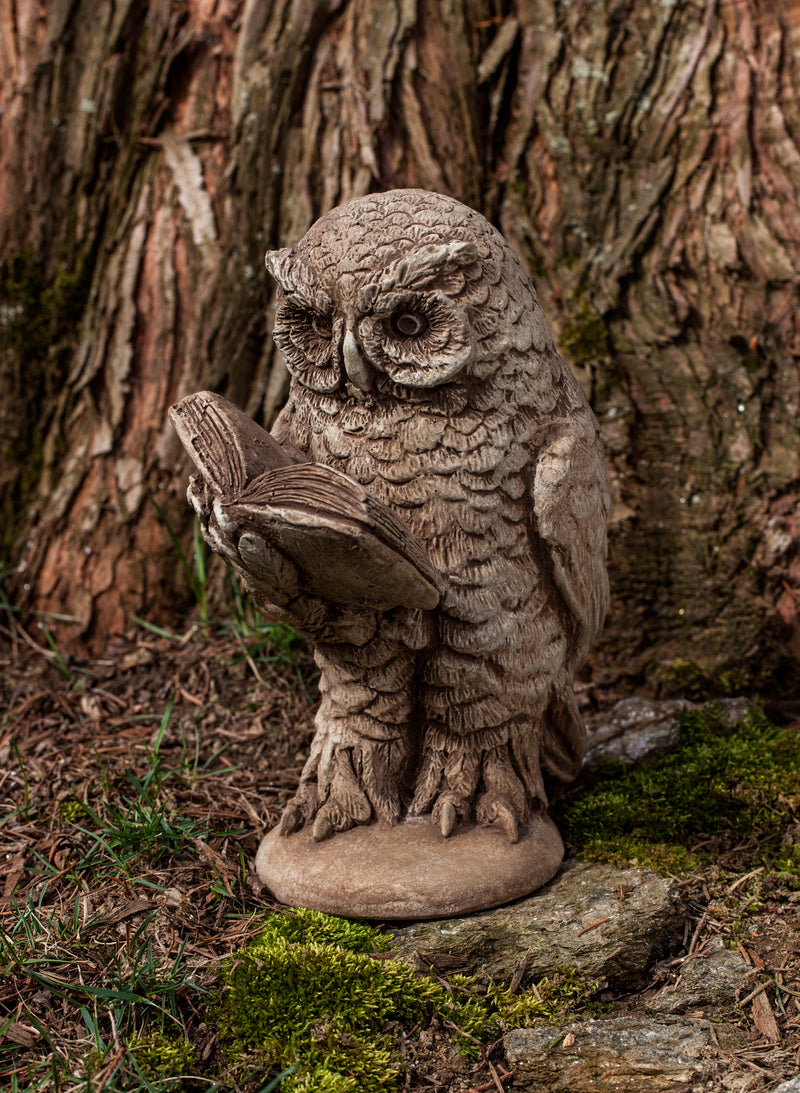 Brown owl standing and reading a book against a tree