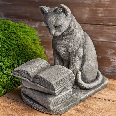 Gray cat sitting down in front of books and reading an open one