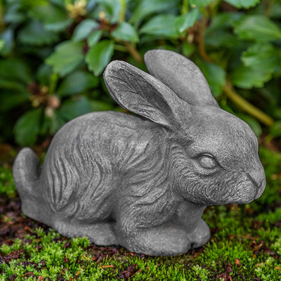 Cute bunny with big ears sitting on moss