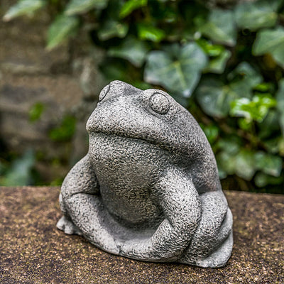 Small gray frog sitting on top of wall