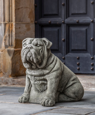 Gray bulldog sitting in front of rustic door