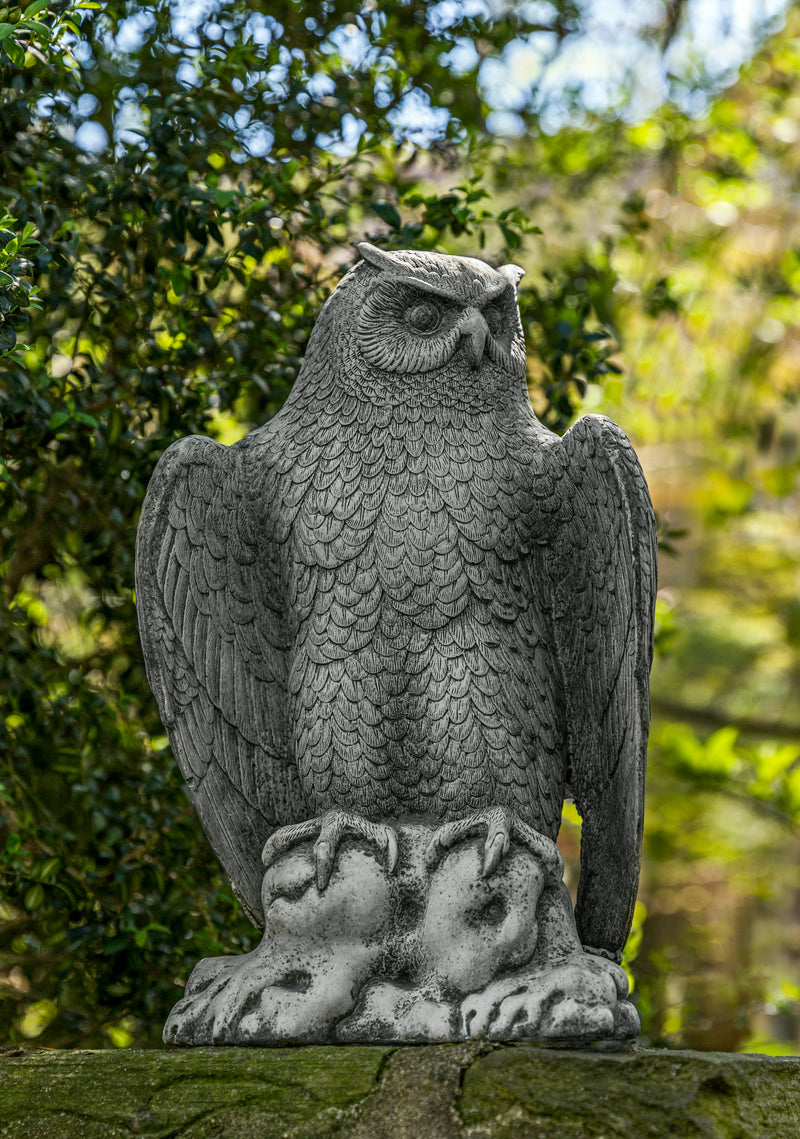 Large owl standing on a wall