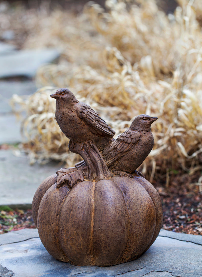 Two birds sitting and standing on a pumpkin