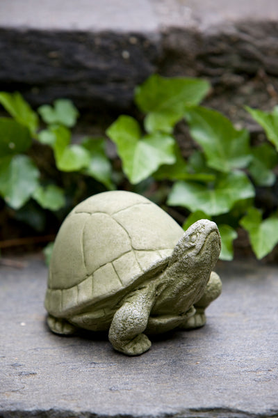 Light green turtle with its head up in front of ivy