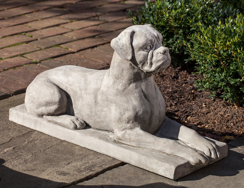 Boxer sitting down on top of a slab
