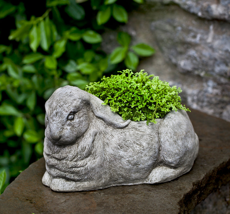 Concrete container shaped like a rabbit, planted with green fern