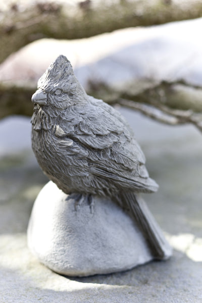 Light gray cardinal sitting on a round rock