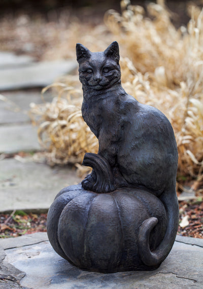 Black cat sitting on black pumpkin