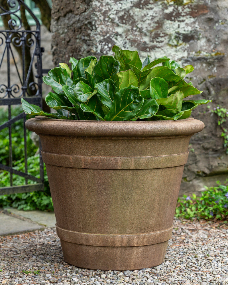 Brown concrete pot with green plant pictured in front of stone wall