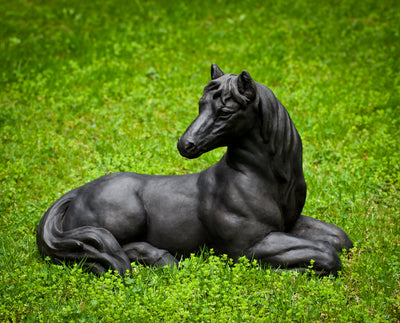 Black horse lying down in grass