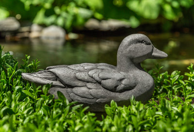 Light gray duck sitting in greenery