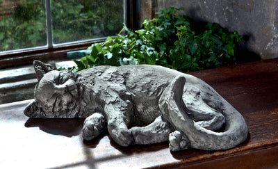 Landscape picture of lying kitty in window sill