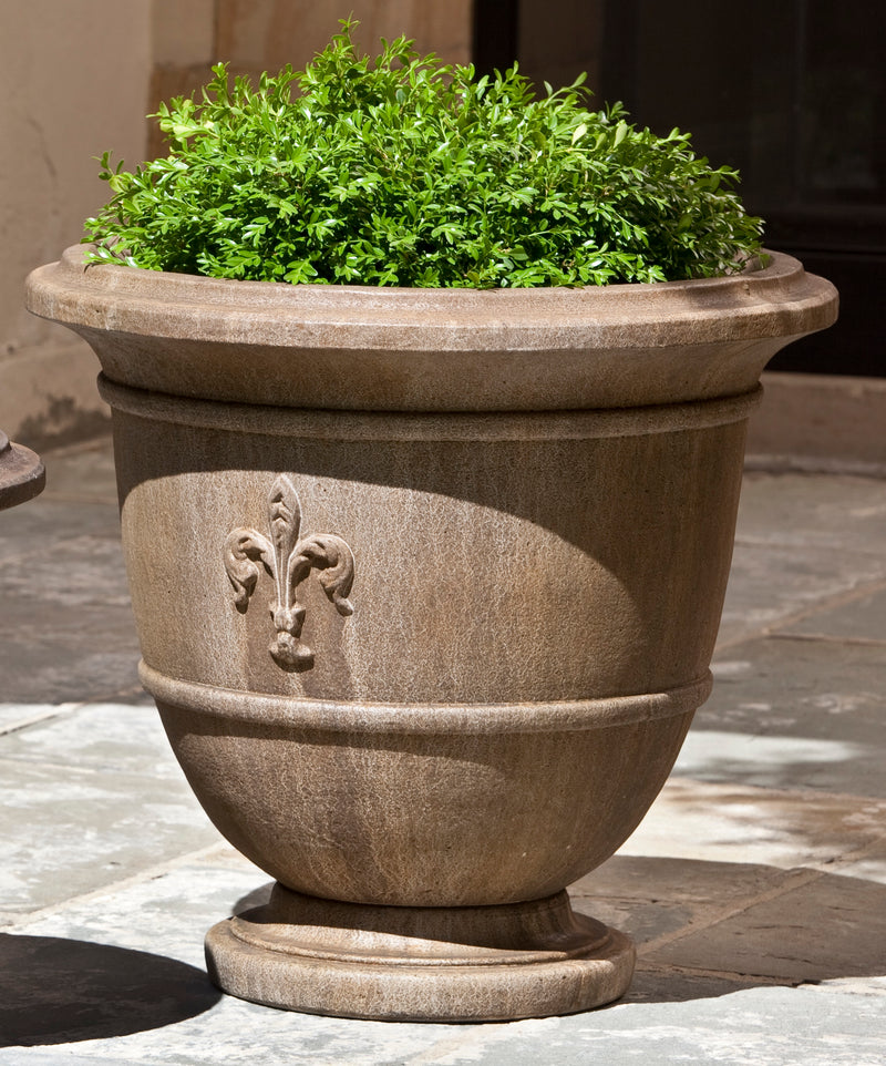 Light brown urn with a fleur de lis design planted with a shrub