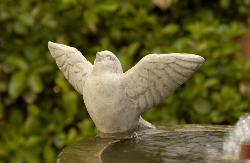 Light gray bird spreading its wings by fountain