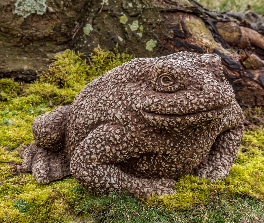 Forest Toad by Campania International – Birdsall & Co.