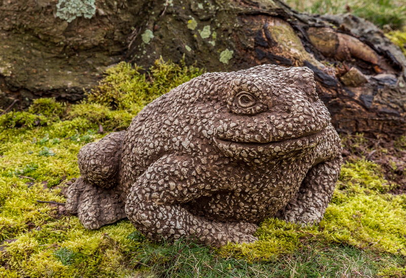 Brown toad sitting on moss