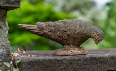 Brown dove standing on small plinth
