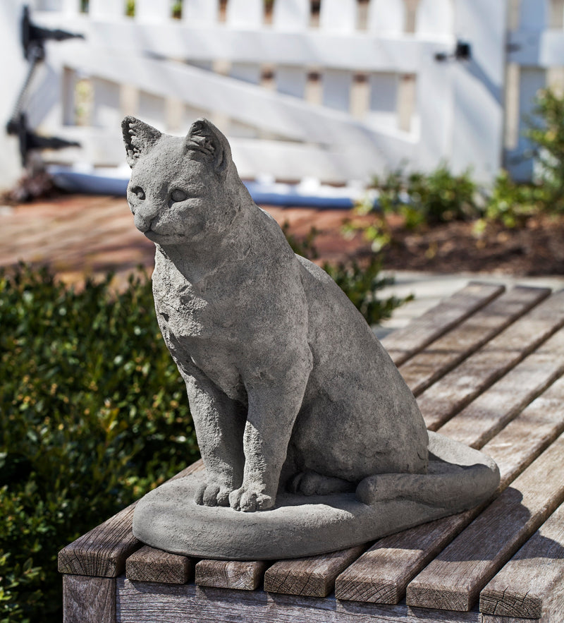 Gray garden cat sitting on plinth