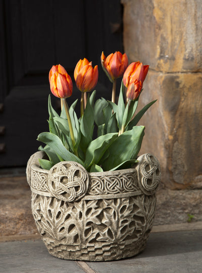 Embellished container planted with tulips