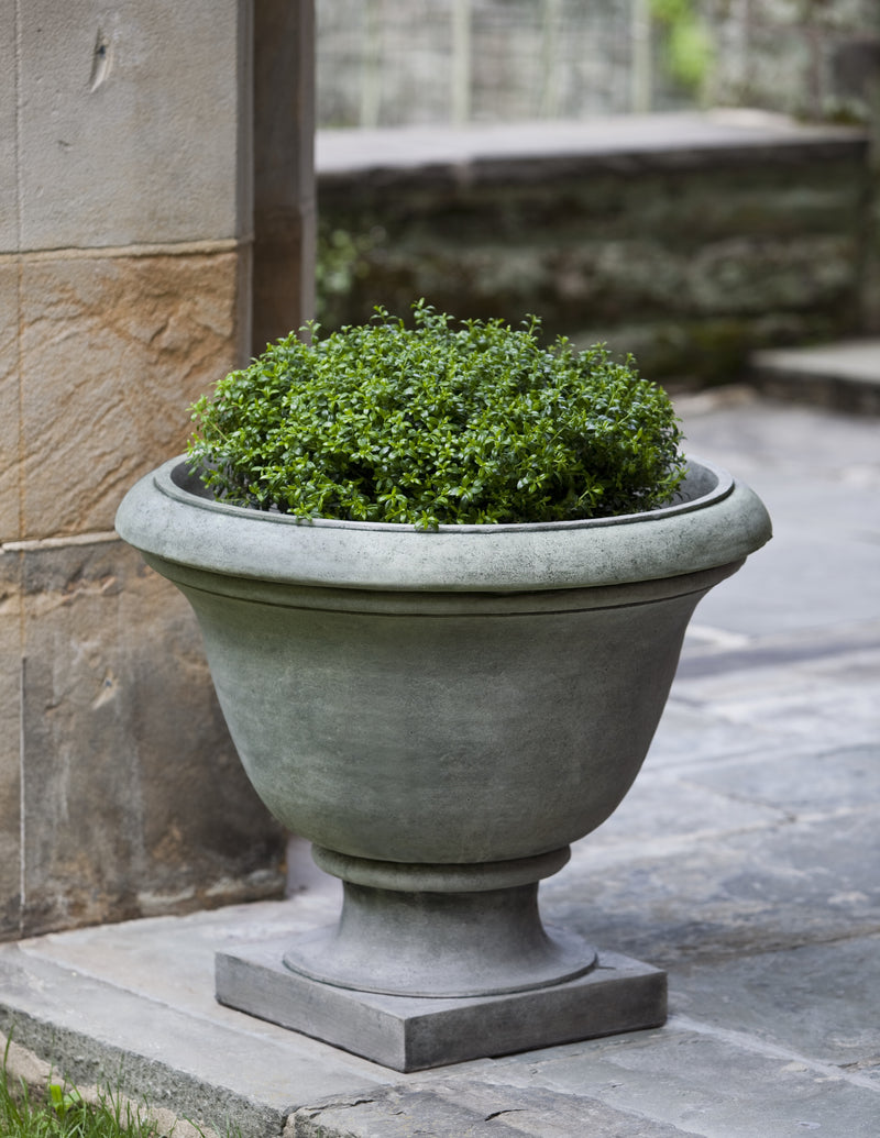 Classic grey urn planted with a shrub and shown on stone terrace