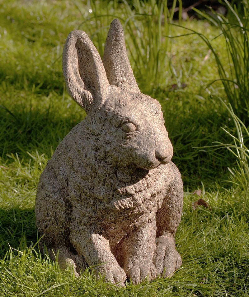 Light gray hare sitting in grass with both ears up
