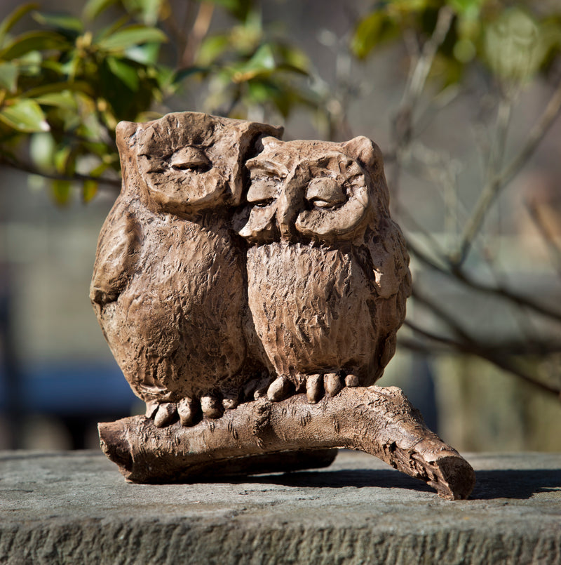 Two little brown owls standing on a branch with eyes closed