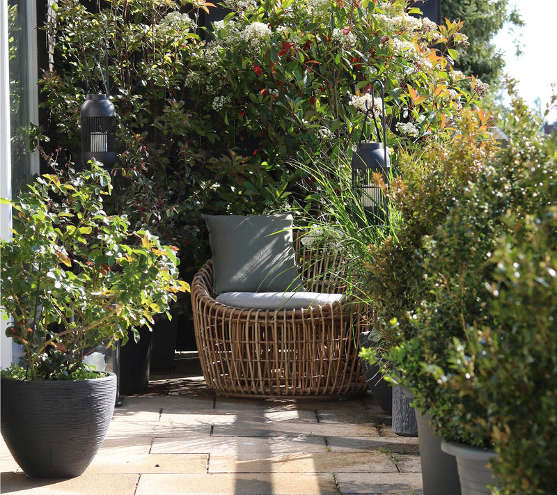 Outdoor armchair shown under flowering shrubs with potted plants around