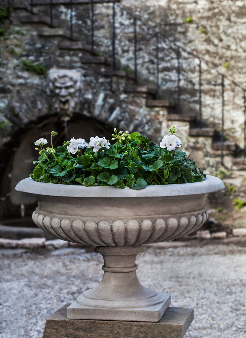 Classic urn planted with white geraniums in front of stone house